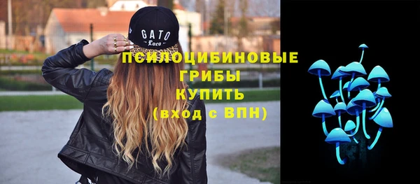 спиды Аркадак