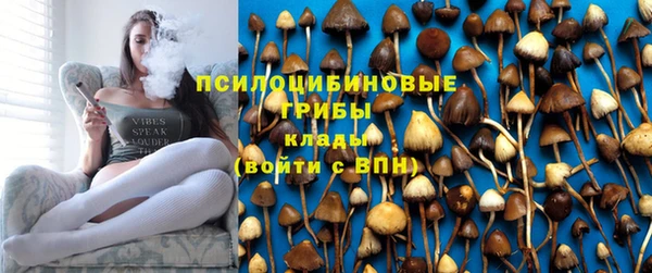 Альфа ПВП Арсеньев