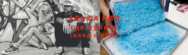 спиды Аркадак