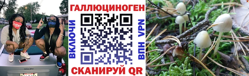Псилоцибиновые грибы прущие грибы  Рузаевка 